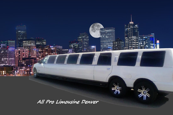 Bachelorette Limo 